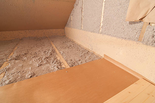 Best Insulation Installation Services in Lakeside, FL